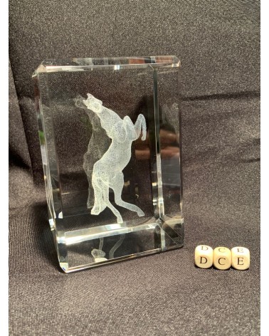 Cube en cristallin gravure 3D cheval cabré.